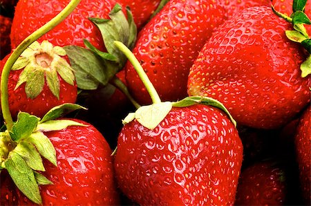 simsearch:400-08020671,k - Background of Perfect Ripe Strawberries with Stems closeup Stock Photo - Budget Royalty-Free & Subscription, Code: 400-06861941