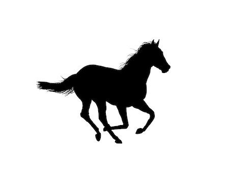 Horse running outline Stock Photo - Budget Royalty-Free & Subscription, Code: 400-06862206