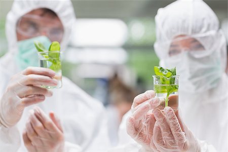 science beaker plants - Two students standing at the laboratory wearing protective suits holding beakers with seedlings Stock Photo - Budget Royalty-Free & Subscription, Code: 400-06862421