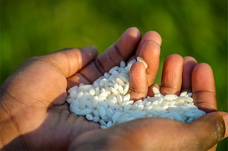 poverty in children - Closeup of African child holding rice. Concept of hunger in Africa. Stock Photo - Budget Royalty-Free & Subscription, Code: 400-06875322