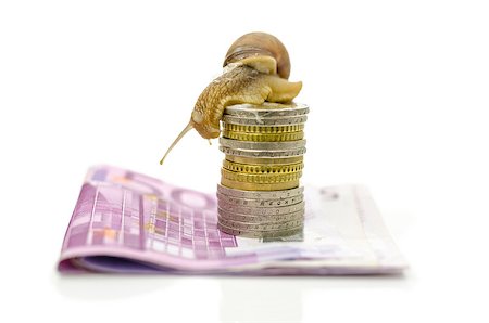 simsearch:400-06860365,k - Snail sitting on top of stack of Euro coins. Concept of slow financial market. Stock Photo - Budget Royalty-Free & Subscription, Code: 400-06875356