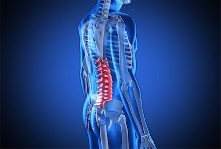 side view ribs anatomy - Digital blue human with highlighted spine on dark blue background Stock Photo - Budget Royalty-Free & Subscription, Code: 400-06876518