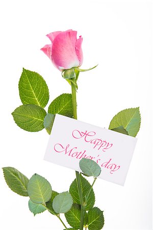 simsearch:400-06877861,k - Pink rose with stalk and leaves and mothers day message on white background Foto de stock - Super Valor sin royalties y Suscripción, Código: 400-06877293