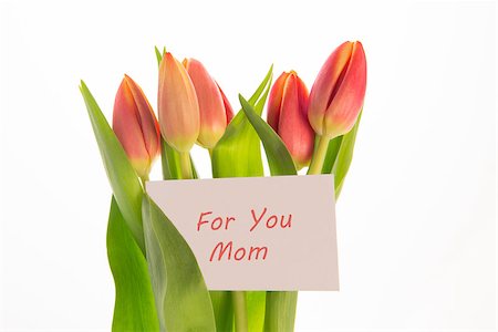 simsearch:400-06877837,k - Bouquet of pink and yellow tulips with mothers day greeting card on white background Stock Photo - Budget Royalty-Free & Subscription, Code: 400-06877300