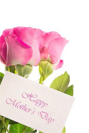 simsearch:400-06877861,k - Happy mothers day card with pink roses on white background Foto de stock - Super Valor sin royalties y Suscripción, Código: 400-06877318