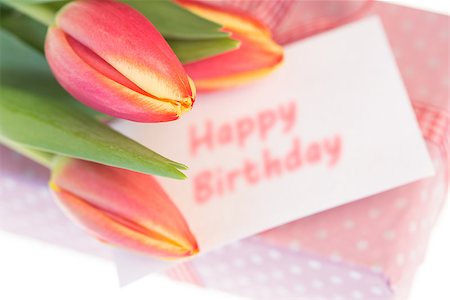 simsearch:400-06877861,k - Pink and yellow tulips resting on pink wrapped present with happy birthday greeting on a card on white background Foto de stock - Super Valor sin royalties y Suscripción, Código: 400-06877327