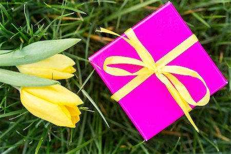 simsearch:400-06877861,k - Pink gift box with yellow ribbon and yellow tulips in the grass Foto de stock - Super Valor sin royalties y Suscripción, Código: 400-06877479