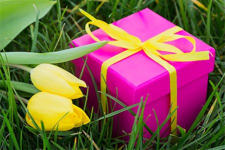 simsearch:400-06877861,k - Pink gift box and yellow tulips in the grass Foto de stock - Super Valor sin royalties y Suscripción, Código: 400-06877473