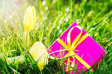 simsearch:400-06877861,k - Pink gift with easter egg and yellow tulip in the grass in the sunshine Foto de stock - Super Valor sin royalties y Suscripción, Código: 400-06877484