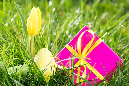 simsearch:400-06877861,k - Pink gift box with easter egg and yellow tulip in the grass in the sunshine Foto de stock - Super Valor sin royalties y Suscripción, Código: 400-06877485
