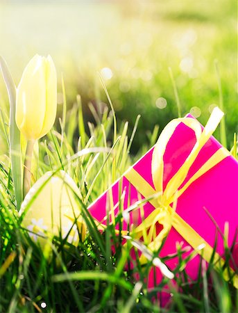 simsearch:400-06877861,k - Pink gift box with yellow easter egg and yellow tulip in the sunshine in the grass Foto de stock - Super Valor sin royalties y Suscripción, Código: 400-06877486