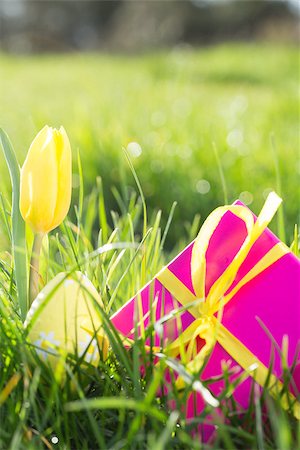 simsearch:400-06877861,k - Pink gift box with yellow easter egg and tulip in the grass and sunshine Foto de stock - Super Valor sin royalties y Suscripción, Código: 400-06877487