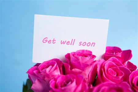 Bouquet of pink roses with get well soon card on blue background Stockbilder - Microstock & Abonnement, Bildnummer: 400-06877826