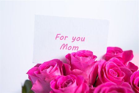 simsearch:400-06877945,k - Bouquet of pink roses with mothers day message on white background Stock Photo - Budget Royalty-Free & Subscription, Code: 400-06877823