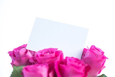 simsearch:400-06877837,k - Bouquet of beautiful pink roses with an blank card Stock Photo - Budget Royalty-Free & Subscription, Code: 400-06877835