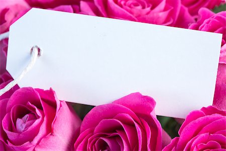 simsearch:400-06877945,k - Bouquet of pink roses with an empty card close up Stock Photo - Budget Royalty-Free & Subscription, Code: 400-06877833