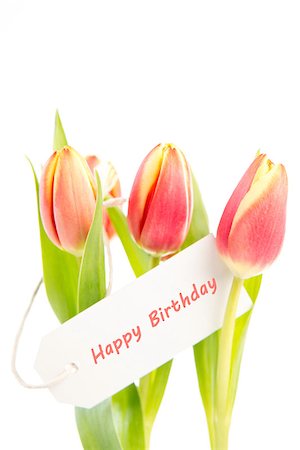 simsearch:400-06877861,k - Three tulips with a happy birthday card on a white background Foto de stock - Super Valor sin royalties y Suscripción, Código: 400-06877857