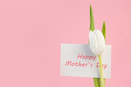 simsearch:400-06877861,k - White tulip with a happy mothers day card on a pink background close up Foto de stock - Super Valor sin royalties y Suscripción, Código: 400-06877892