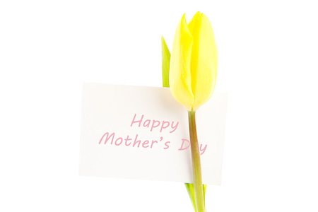 simsearch:400-06877861,k - Yellow tulip with a white happy mothers day card on a white background Foto de stock - Super Valor sin royalties y Suscripción, Código: 400-06877915