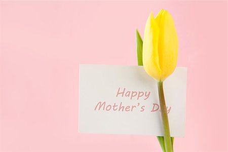 simsearch:400-08017469,k - Yellow tulip with a Happy mothers day card on a pink background close up Foto de stock - Super Valor sin royalties y Suscripción, Código: 400-06877919