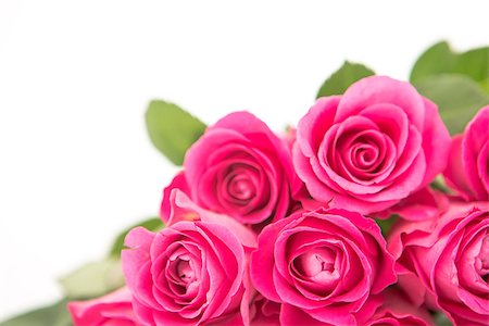 simsearch:400-06877837,k - Close up of a bouquet of pink roses on a white background Stock Photo - Budget Royalty-Free & Subscription, Code: 400-06877944