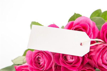 simsearch:400-06877837,k - Close up of a bouquet of pink roses with a blank day card on a white background Stock Photo - Budget Royalty-Free & Subscription, Code: 400-06877948