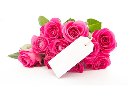 simsearch:400-06877945,k - Close up of a bouquet of pink roses with an empty card on a white background Stock Photo - Budget Royalty-Free & Subscription, Code: 400-06877951