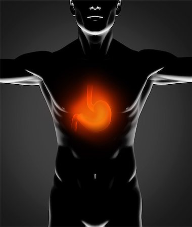 front view human organ image - Black human figure with red stomach on black background Stock Photo - Budget Royalty-Free & Subscription, Code: 400-06873482