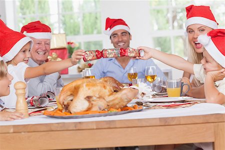 simsearch:400-06871557,k - Siblings pulling a christmas cracker at christmas dinner Photographie de stock - Aubaine LD & Abonnement, Code: 400-06873606