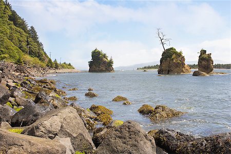 parc provincial garibaldi - Pig and Sow Inlet in Garibaldi Beach Tillamook Bay Oregon Photographie de stock - Aubaine LD & Abonnement, Code: 400-06887459