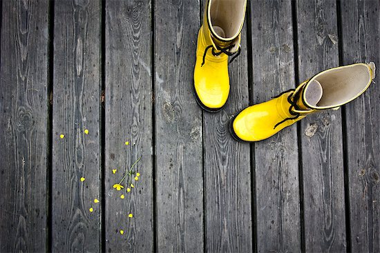 Two yellow boots with yellow flowers beside. Stock Photo - Royalty-Free, Artist: talsen, Image code: 400-06881112