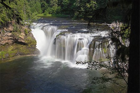foresta nazionale gifford pinchot - Lower Lewis River Falls in Washington State Fotografie stock - Microstock e Abbonamento, Codice: 400-06881146