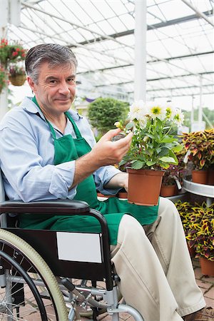 Garden center worker in wheelchair holding potted plant in greenhouse of garden center Stock Photo - Budget Royalty-Free & Subscription, Code: 400-06882011