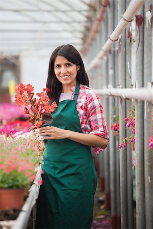 Smiling garden center employee standing holding a flower pot in a greenhouse Photographie de stock - Aubaine LD & Abonnement, Code: 400-06882032