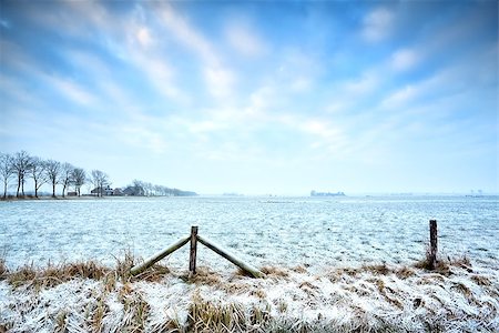 simsearch:400-07295947,k - typical Dutch farmland in winter, Groningen Fotografie stock - Microstock e Abbonamento, Codice: 400-06891799