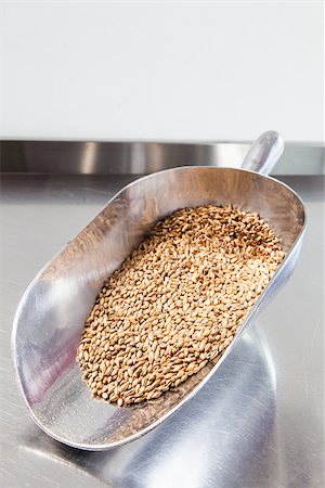 Detail of raw malt in a premium brewery Stock Photo - Budget Royalty-Free & Subscription, Code: 400-06891814