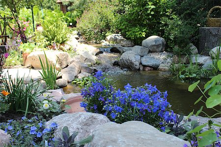 simsearch:400-07039820,k - Blue flowers of different varieties are growing next to a stream. Stock Photo - Budget Royalty-Free & Subscription, Code: 400-06891977