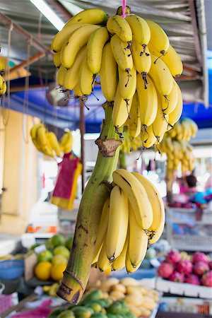 simsearch:400-06750784,k - Ripe Yellow Bananas Bunch Hanging at Fruit Stall in Southeast Asia Photographie de stock - Aubaine LD & Abonnement, Code: 400-06892435