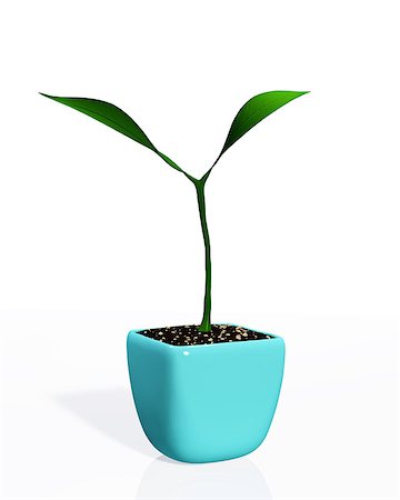 simsearch:400-06928460,k - a small young plant with two leaves is growing in a light blue pot full of soil, isolated on a white background Stock Photo - Budget Royalty-Free & Subscription, Code: 400-06914404