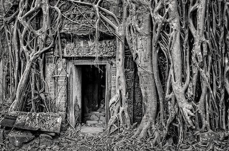 simsearch:400-07525475,k - Ancient stone temple door and tree roots - monochrome vintage view, Angkor Wat, Cambodia Stock Photo - Budget Royalty-Free & Subscription, Code: 400-06914434