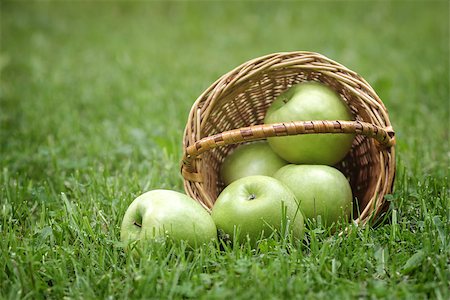 simsearch:400-07776749,k - wicker basket full of green apples, on fresh grass Foto de stock - Super Valor sin royalties y Suscripción, Código: 400-06915644