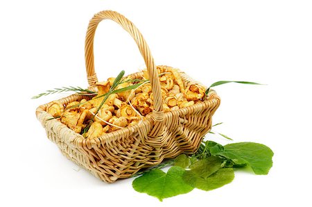 simsearch:400-08011809,k - Perfect Raw Little Chanterelles in Basket isolated on white background Photographie de stock - Aubaine LD & Abonnement, Code: 400-06916277