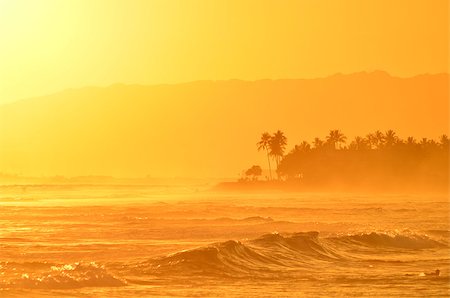 simsearch:400-06557675,k - A golden Hawaiin sunset from Waikiki Beach, Hawaii. Foto de stock - Super Valor sin royalties y Suscripción, Código: 400-06916287