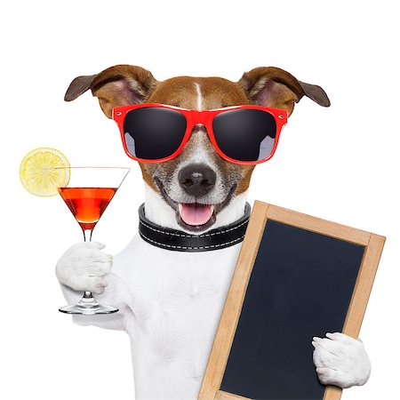 simsearch:400-07822392,k - funny cocktail dog holding a martini glass Foto de stock - Super Valor sin royalties y Suscripción, Código: 400-06916476