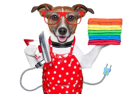 housewife dog ironing with a red apron and a stack of colorful towels Stock Photo - Budget Royalty-Free & Subscription, Code: 400-06916488