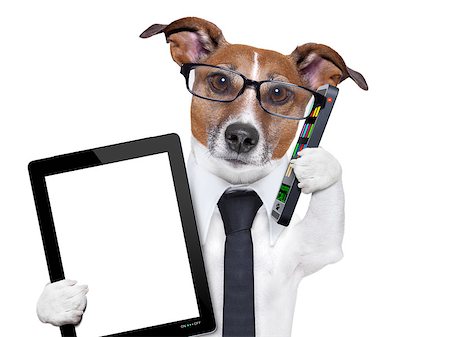 business dog with a tie , glasses ,tablet pc and smartphone dog with smartphone and a tablet pc Photographie de stock - Aubaine LD & Abonnement, Code: 400-06916499
