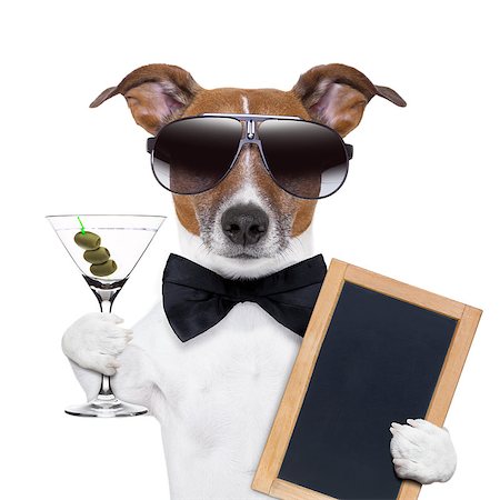 funny cocktail images - party dog toasting with a martini glass with olives Stock Photo - Budget Royalty-Free & Subscription, Code: 400-06916490