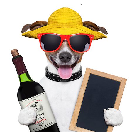 simsearch:400-07822392,k - summer dog with a bottle of wine and blackboard Foto de stock - Super Valor sin royalties y Suscripción, Código: 400-06916508