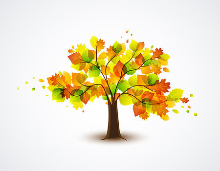 natural autumn tree with colorful leaves Stock Photo - Budget Royalty-Free & Subscription, Code: 400-06916777