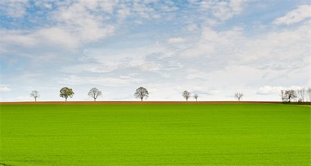 simsearch:400-06918933,k - Green Pasture in the Ardennes, Belgium Photographie de stock - Aubaine LD & Abonnement, Code: 400-06917750